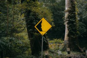 free photo of tanda peringatan longsor di hutan mojokerto