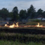 img 7543