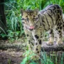 img 7581