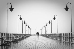 pexels pixabay 220836