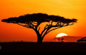 sunset serengeti ig