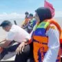 benih ikan sidrap