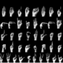 capture