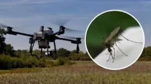 drone nyamuk