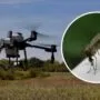 drone nyamuk