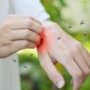 istockphoto.com