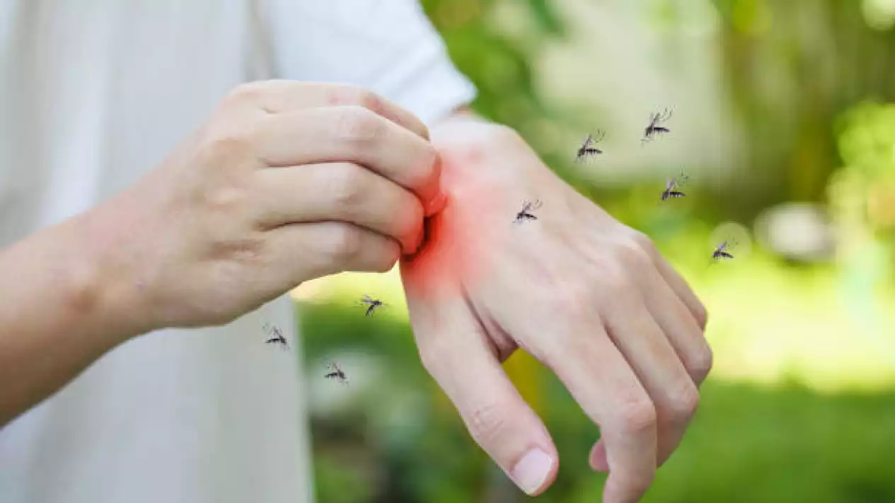 istockphoto.com