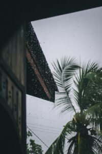 pexels andiravsanjani 1915184