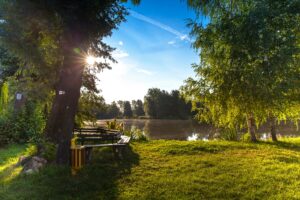 pexels torsten kellermann 349167 955656