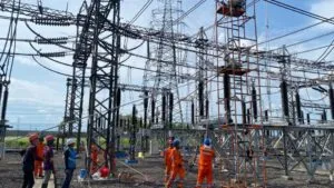 pln petugas