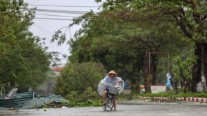 topan bualoi terjang vietnam pohon tumbang di nghe an 1759126613818 169