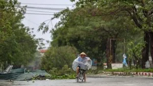 topan bualoi terjang vietnam pohon tumbang di nghe an 1759126613818 169