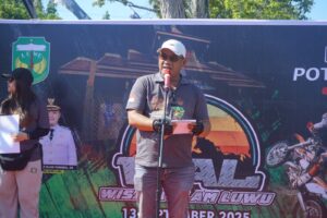 trail luwu