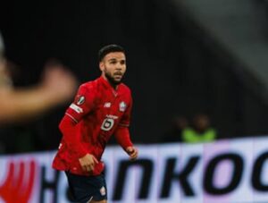 verdonk lille