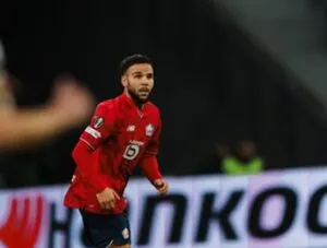 verdonk lille