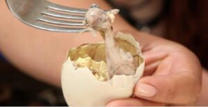 balut telur 