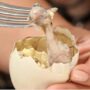 balut telur