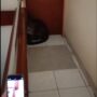 macan tutul