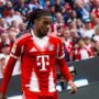 olise bayern ig