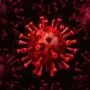 covid virus daily ausaf