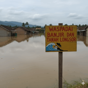 gemini generated image copukvcopukvcopu