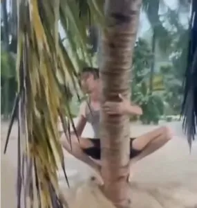 kelapa aceh