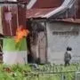 molotov sapiria