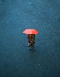 pexels aamir 17750945 (1)