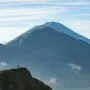 1005