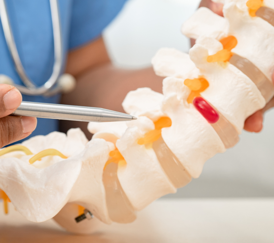 @sasirin pamais images