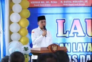 mirwan ms1