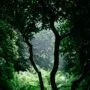 pexels dariuskrs 2609106 (1)