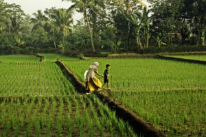 pexels ruyat supriazi 2154700906 33864441