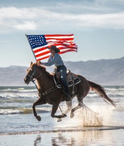 pexels timmossholder 10127178