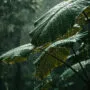 rain kissed foliage close up nature s embrace