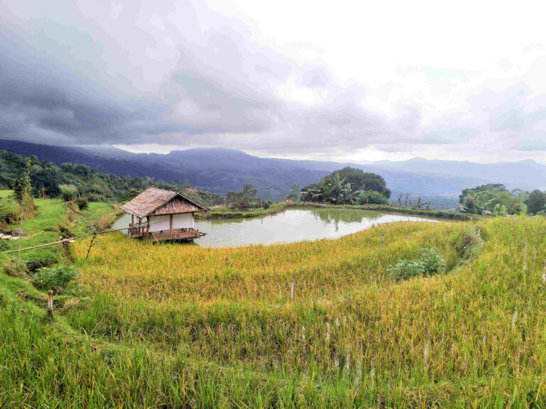 smartcity.gowakab.go.id6