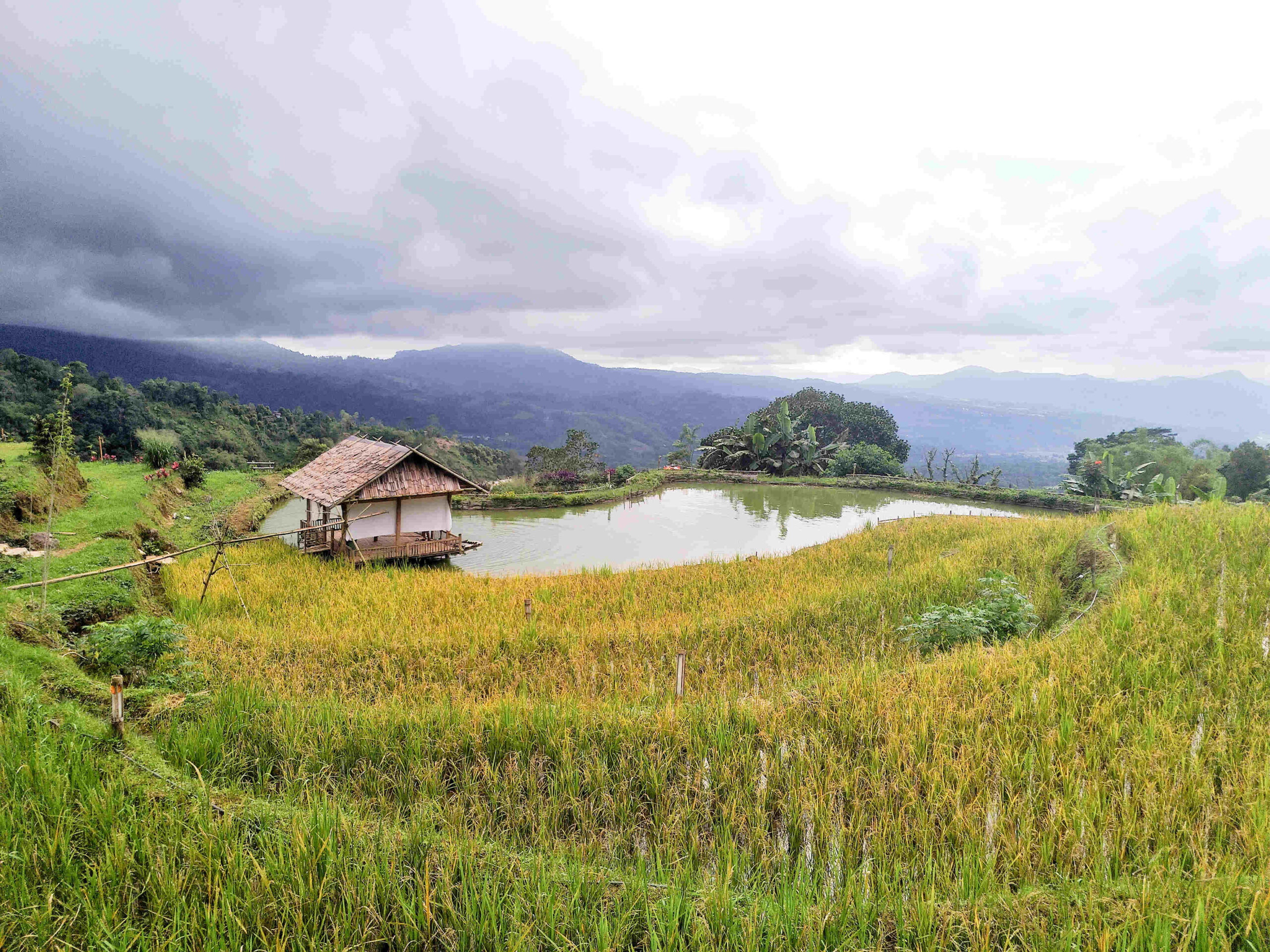 smartcity.gowakab.go.id6