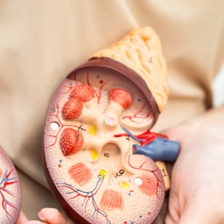 teks paragraf anda (22)