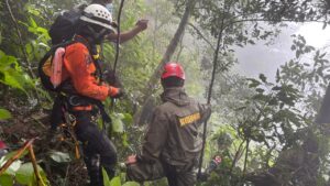 0f06a06c 39fd 4ee7 80ad 80b632f7db56