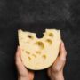close up hand holding maasdam cheese against black textured backdrop