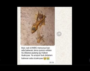 mbg cicak