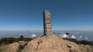 rhinocho.wordpress.com