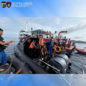 saveclip.app 590385533 18297956554272640 1838749165853320538 n (1)