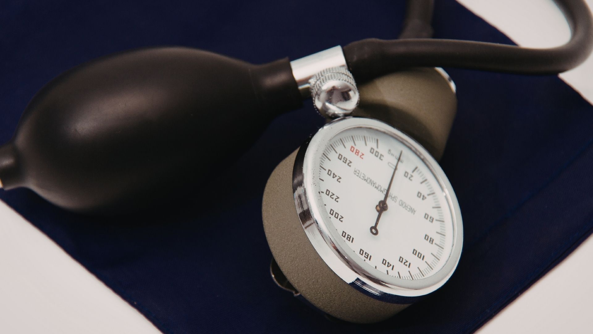 @corina ciocirlans images (2)