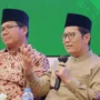 cholil nafis mui