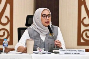 nihayatul wafiroh pkb