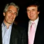 trump epstein getty