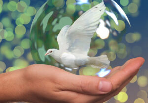 world understanding and peace day 1200x834