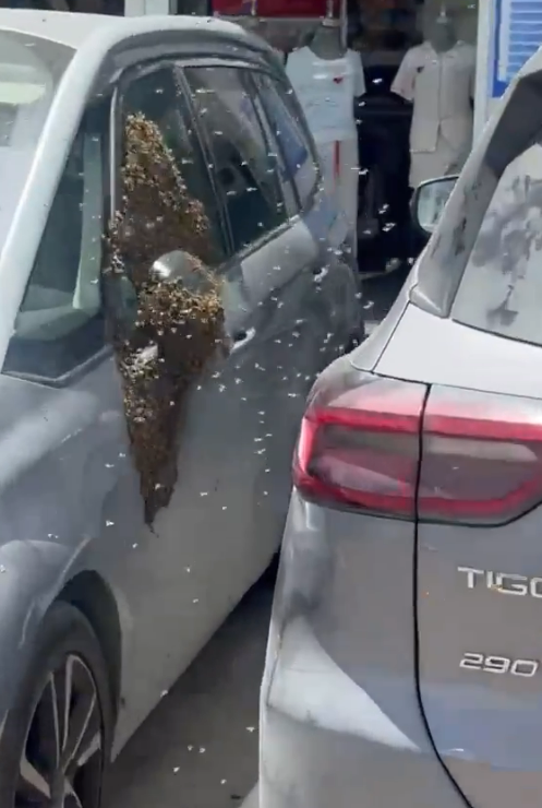 cuplikan layar 2026 04 18 111001