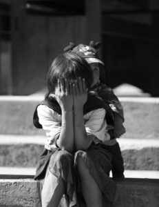 pexels lee sheng dan 25738568 11540105